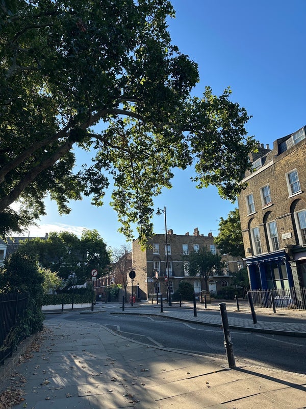 Room Richmond Avenue in Greater London