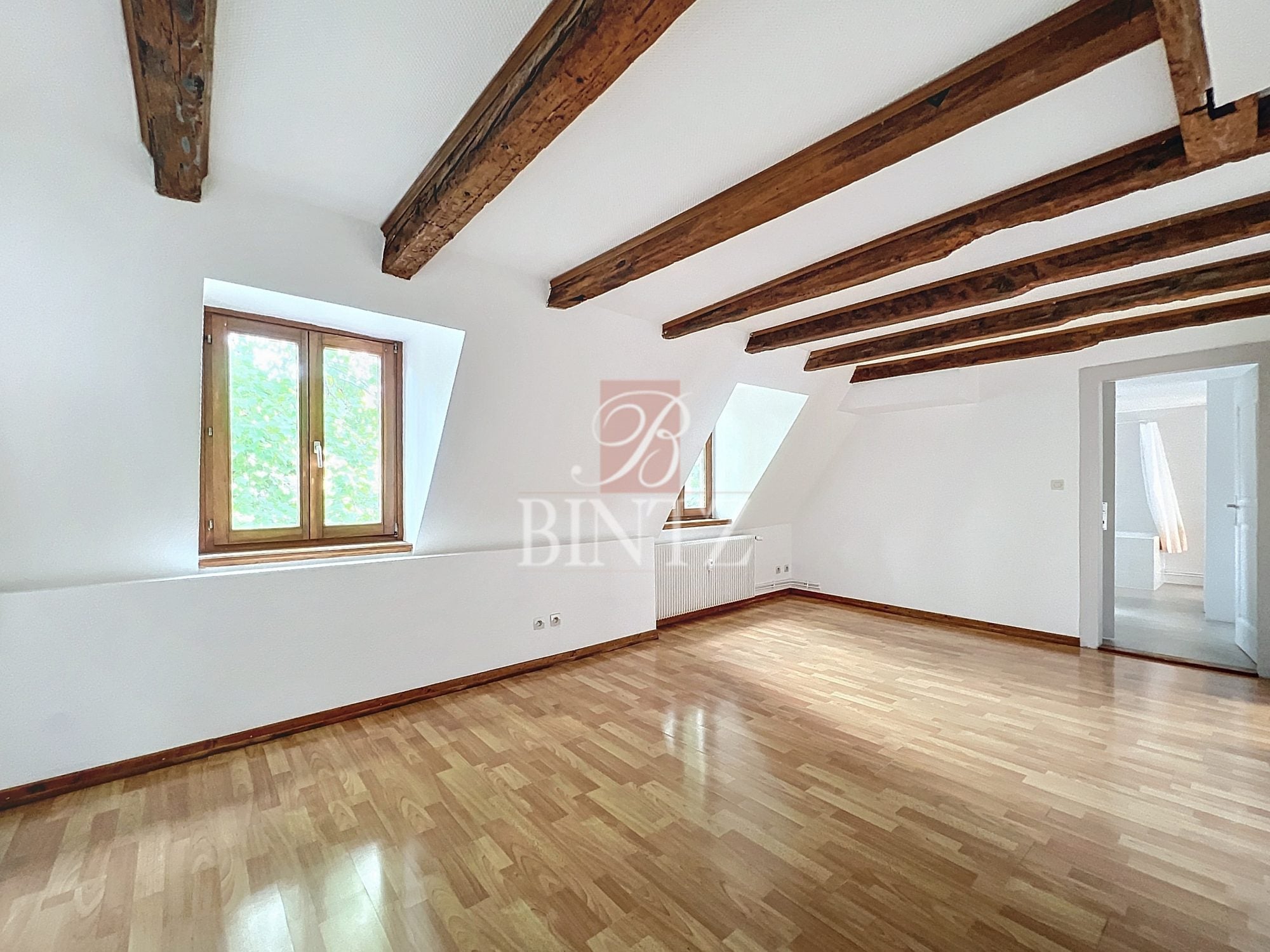 Appartement Rue du Bouclier à Strasbourg