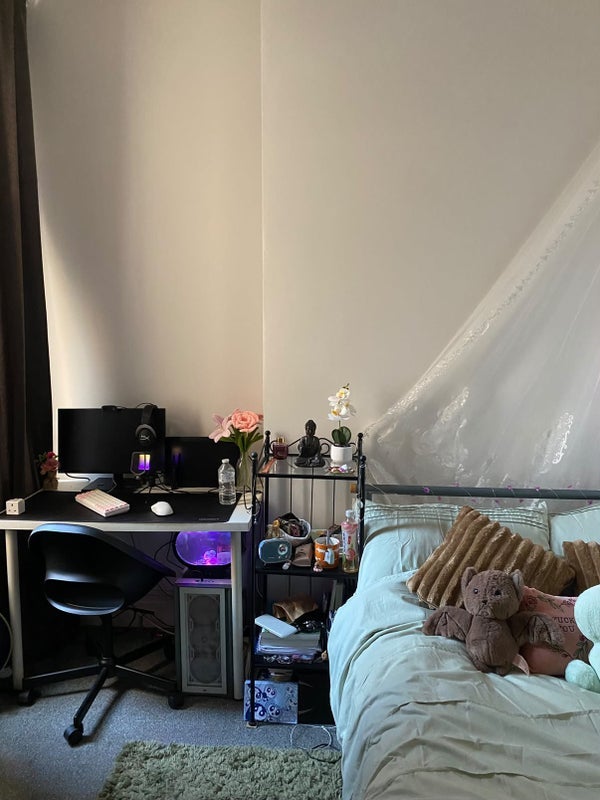 Room Colum Road in Cardiff