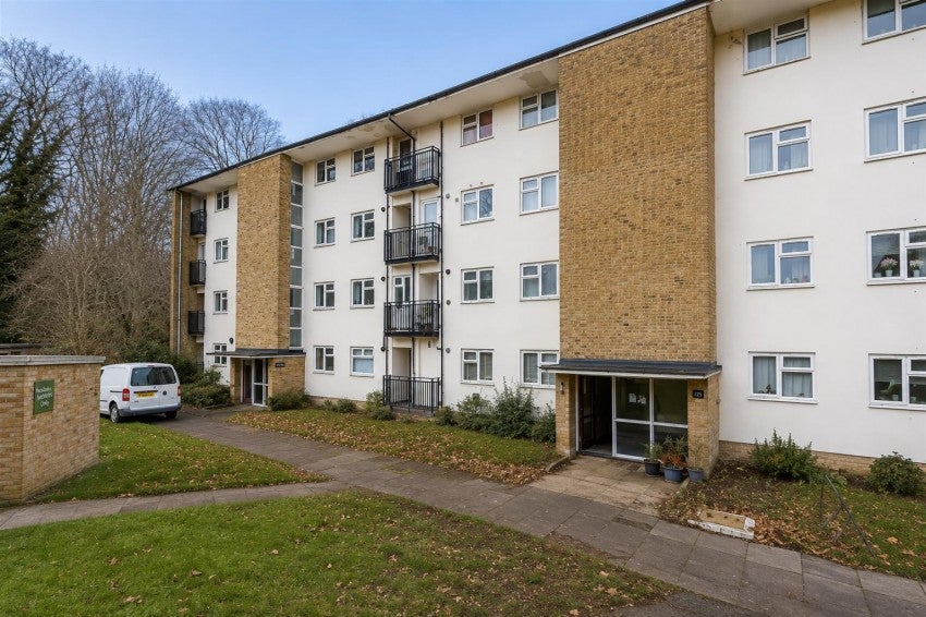 Flat Ladyshot in Harlow