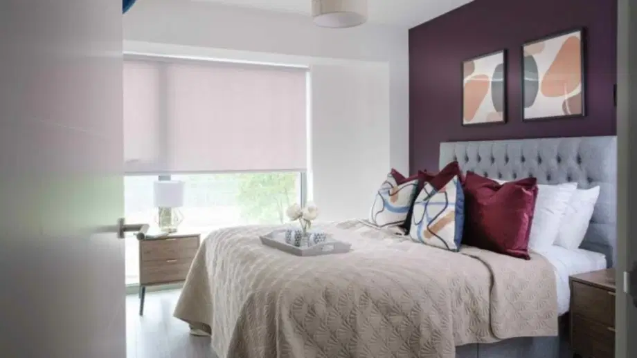 Room Great Homer Street in Liverpool