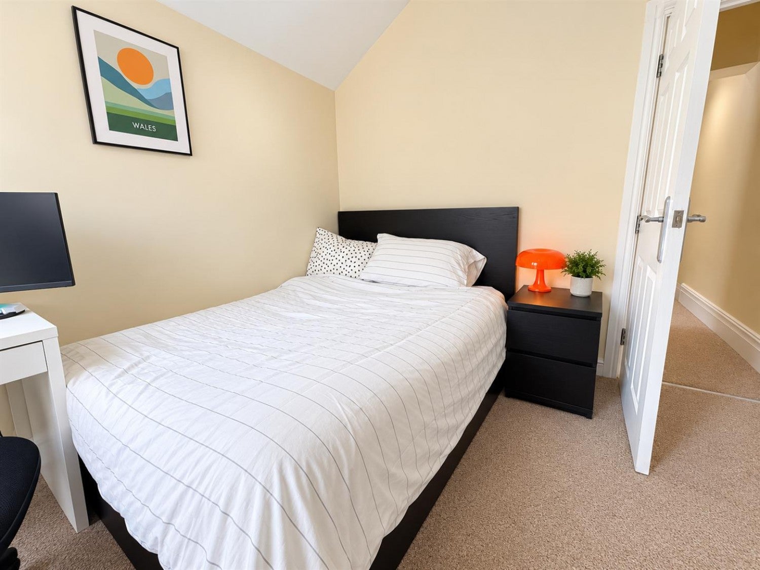 Flat Moy Road in Cardiff