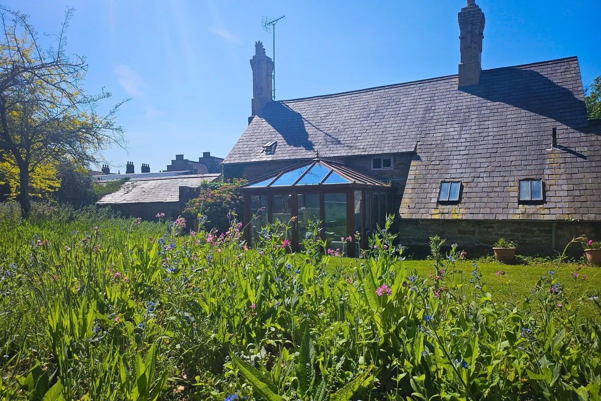 House A541 in Mold