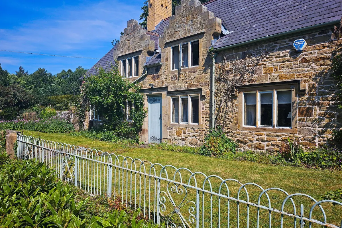 House A541 in Mold