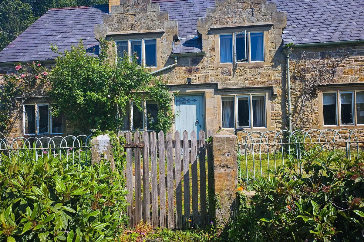 House A541 in Mold