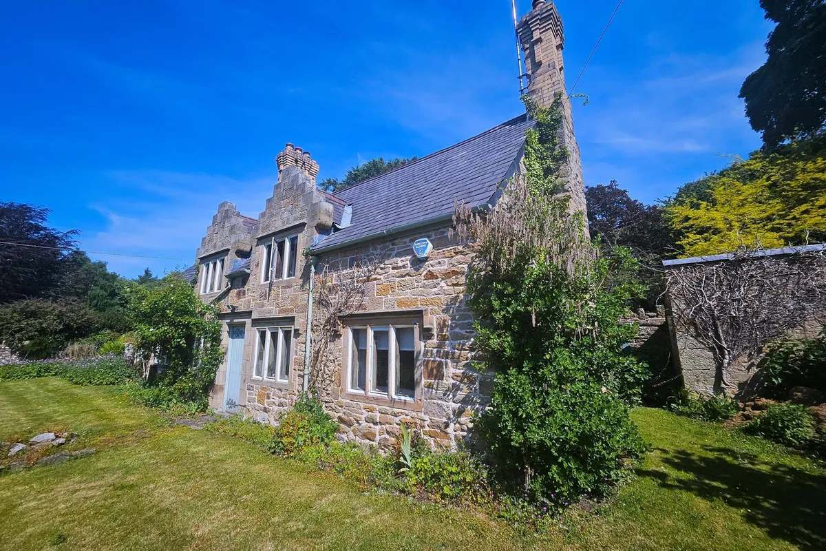 House A541 in Mold
