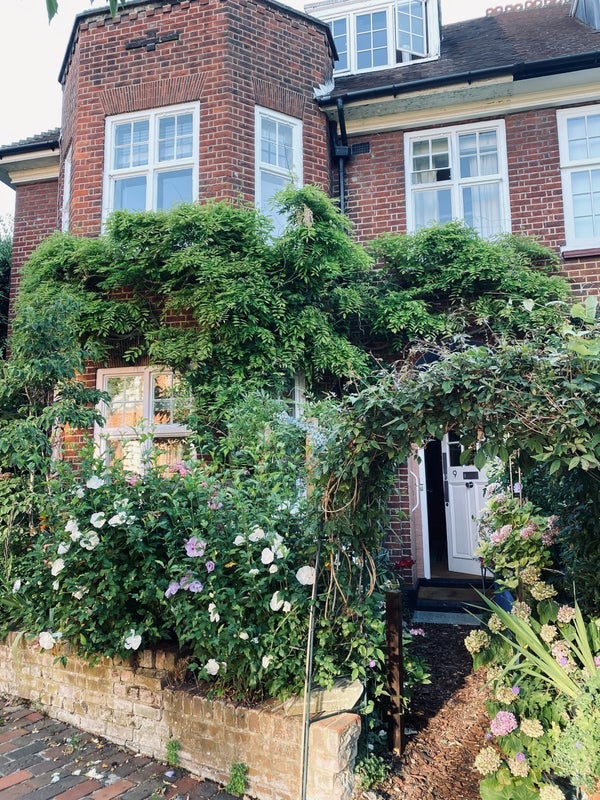 Room Belsize Lane in Greater London