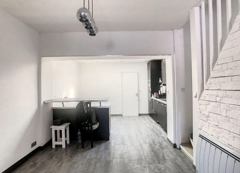 Maison Rue Amédée Platel à Hallennes-lez-Haubourdin