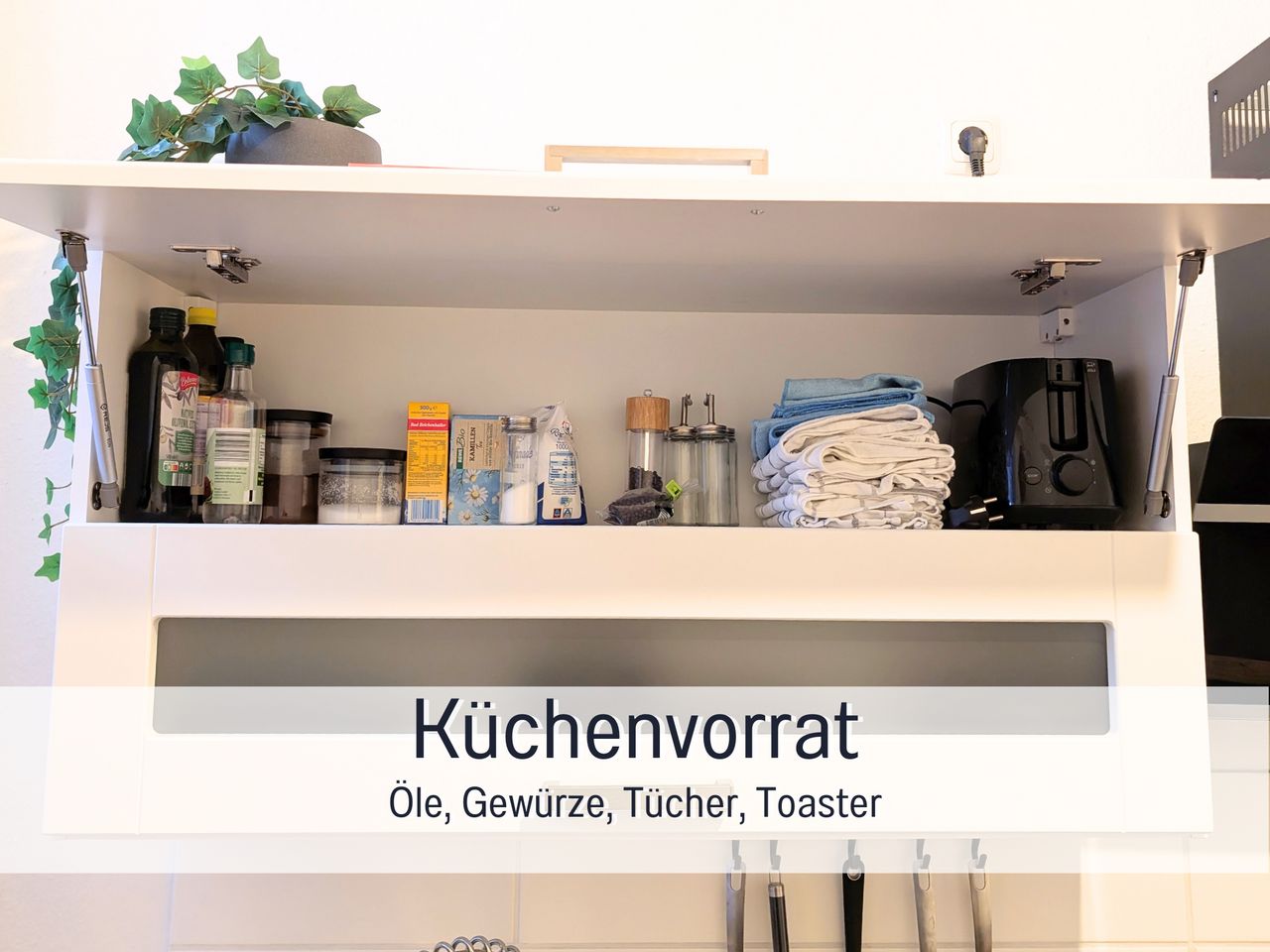 Wohnung Hamburger Chaussee in Kiel