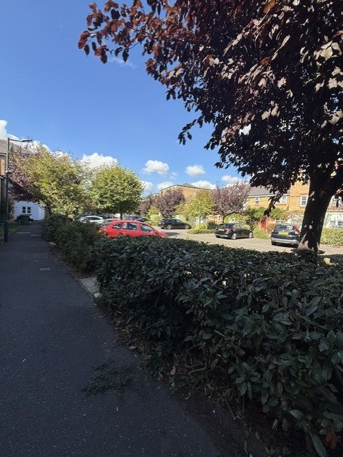 House Basevi Way in Greater London