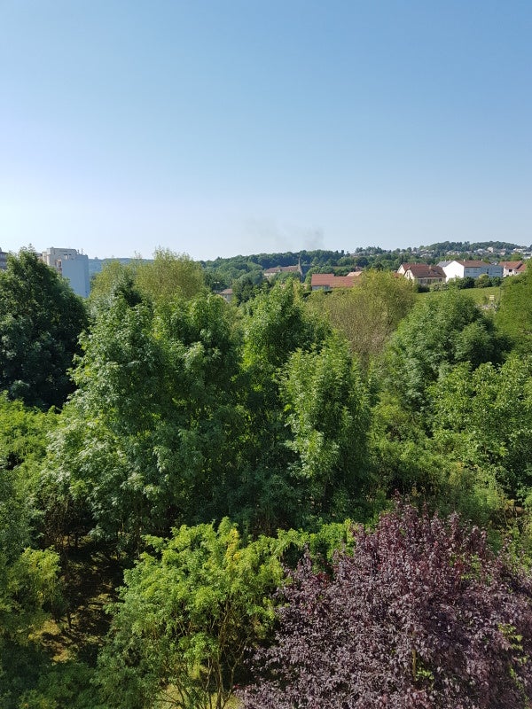 Flat Rue de Laxou in Nancy