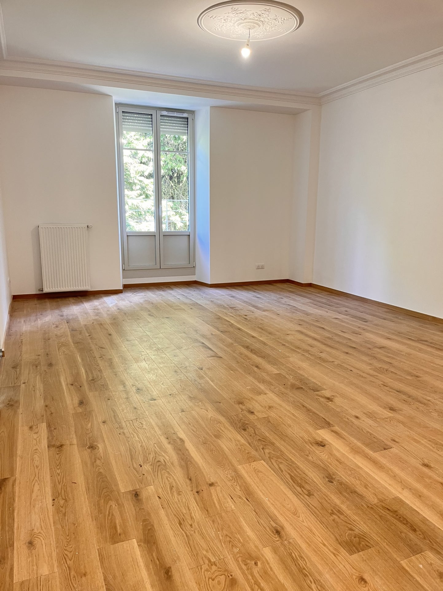 Appartement Rue du Jardin Zoologique à Mulhouse