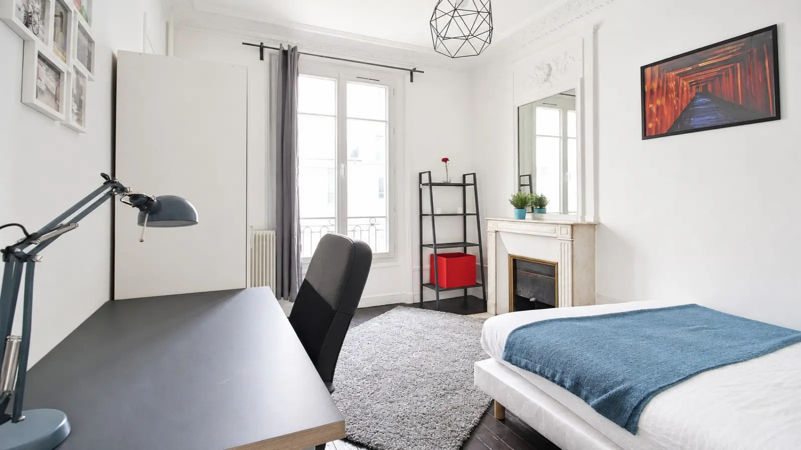 Room Rue du Docteur Paquelin in Paris