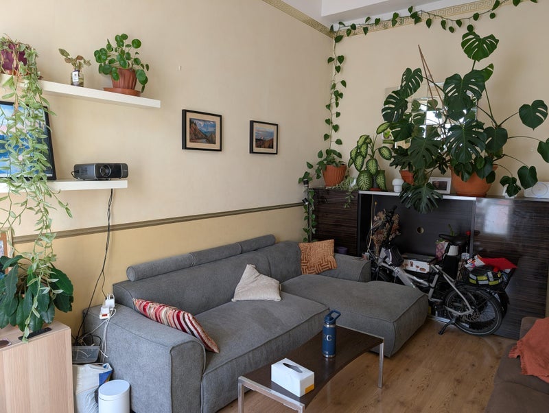 Room St George's Drive in City of Westminster