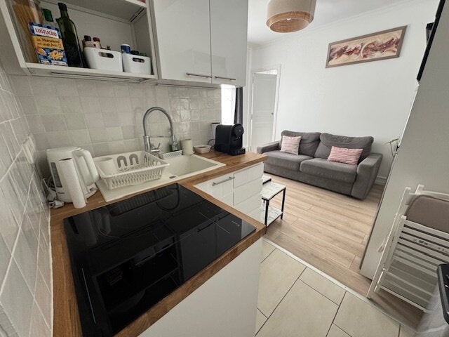 Flat Rue Pache in Paris