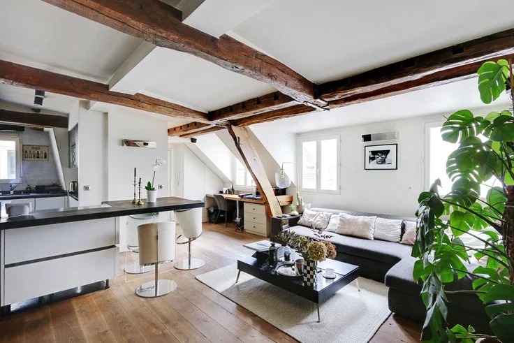 Flat Rue de Châteaudun in Paris