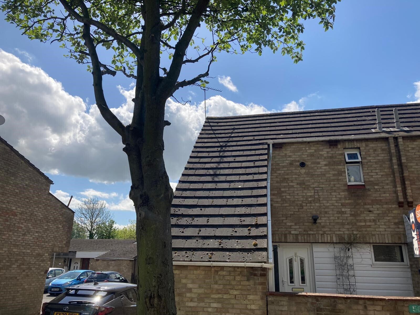 House Broomfields in Basildon