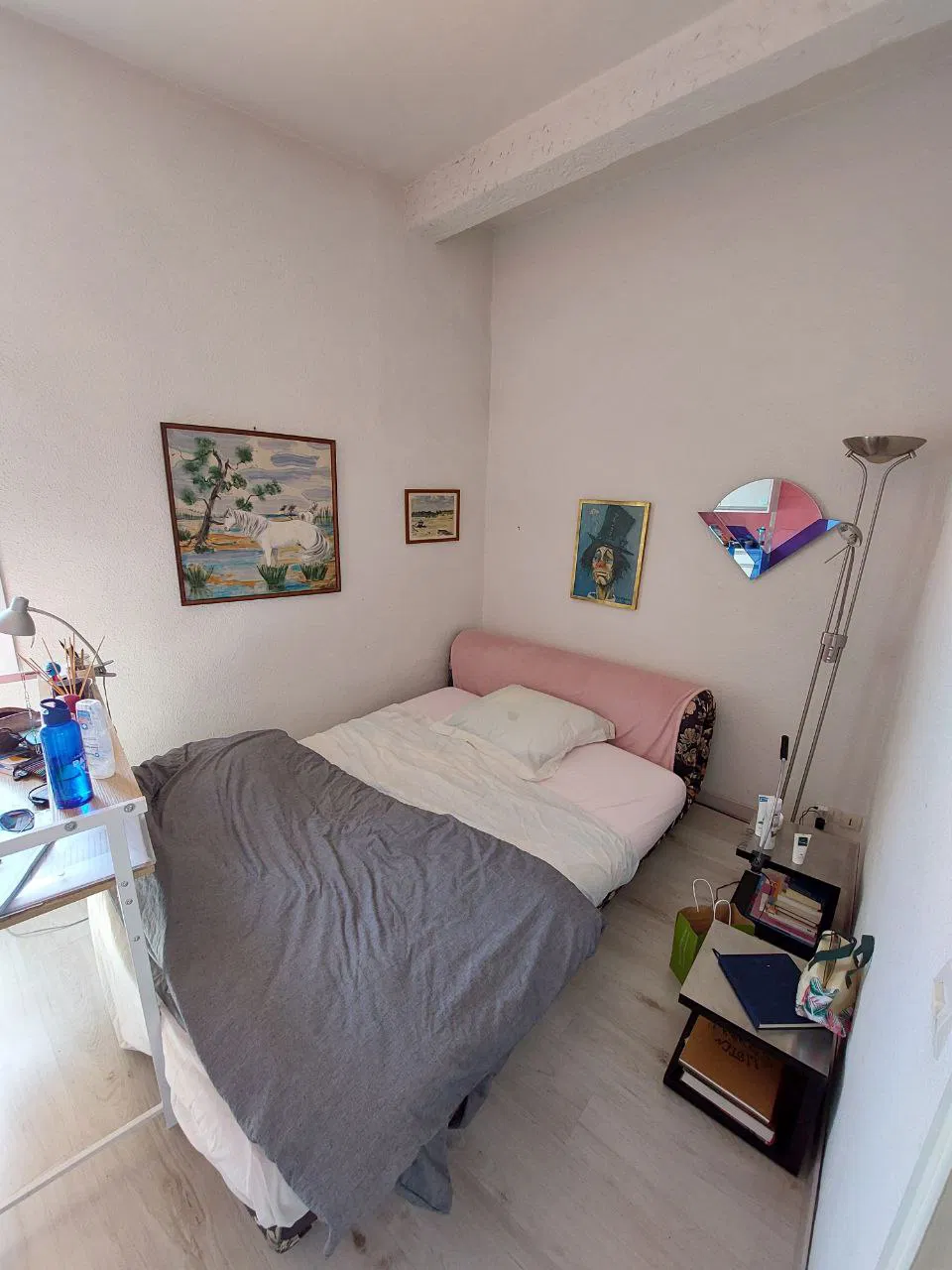 Chambre Allée des Cyclades à Montpellier
