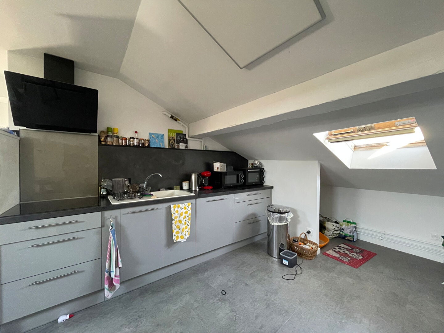 Flat Rue Braconnot in Nancy