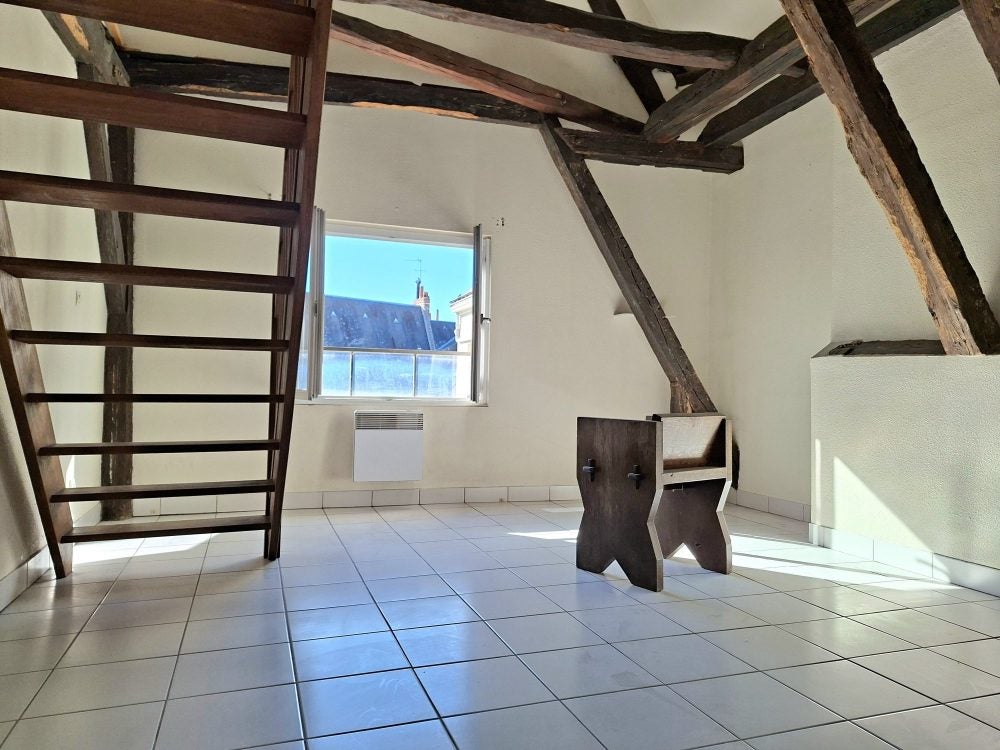 Appartement Rue de Buffon à Tours