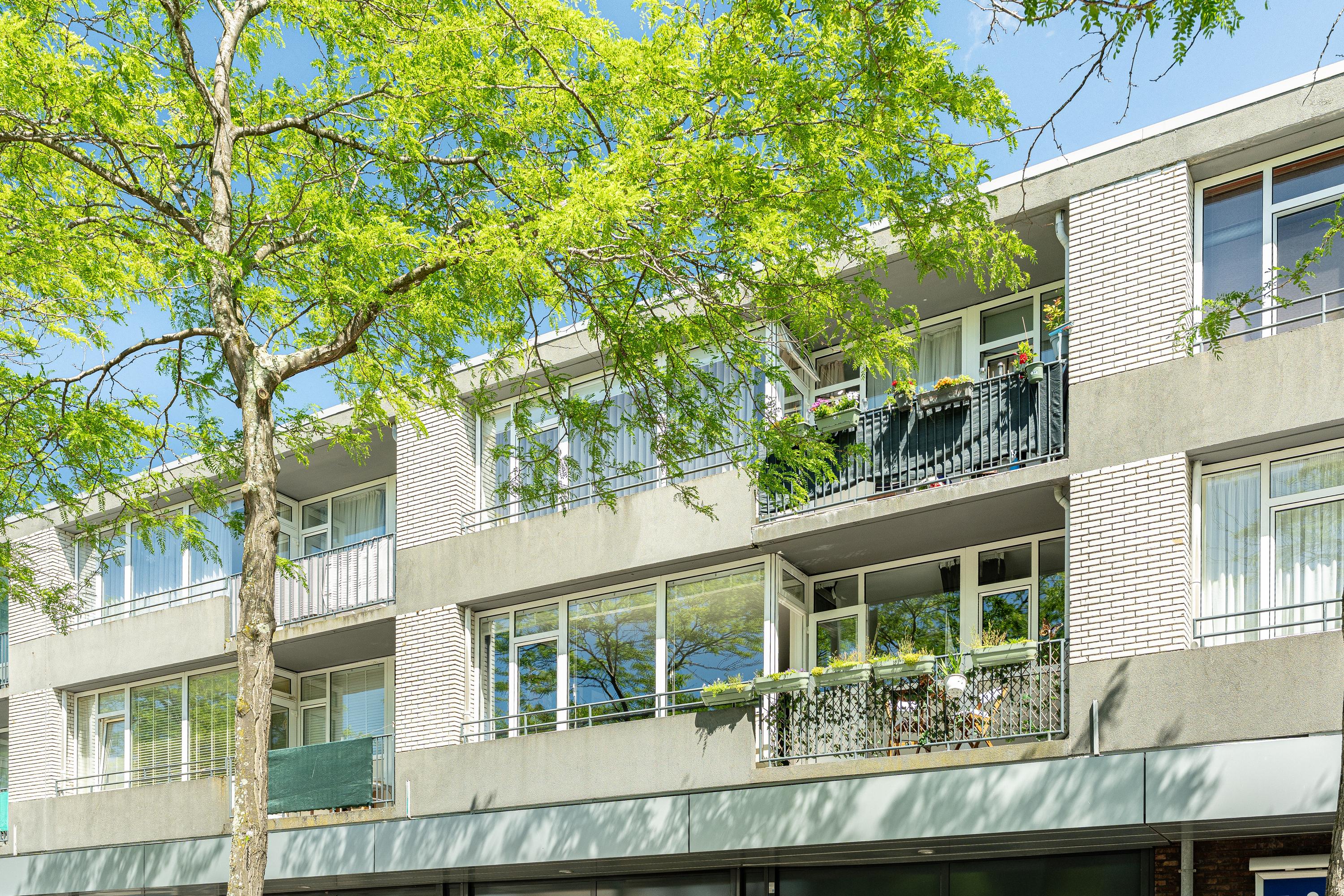 Appartement William Harveystraat 20 in Haarlem