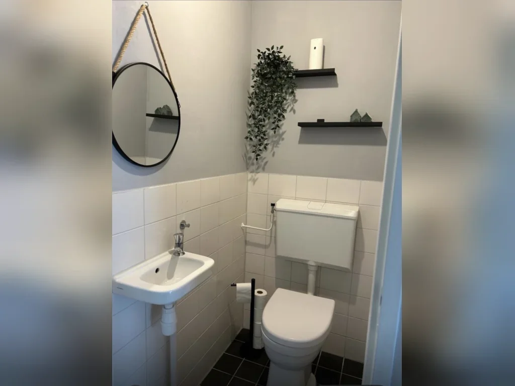 House Baardspringer in Koog aan de Zaan