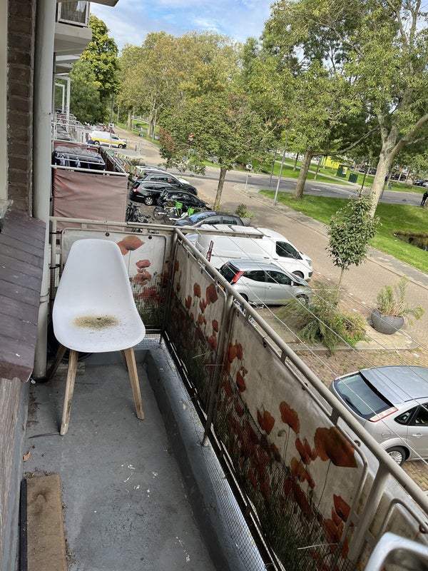Appartement Lepelaarsingel 10