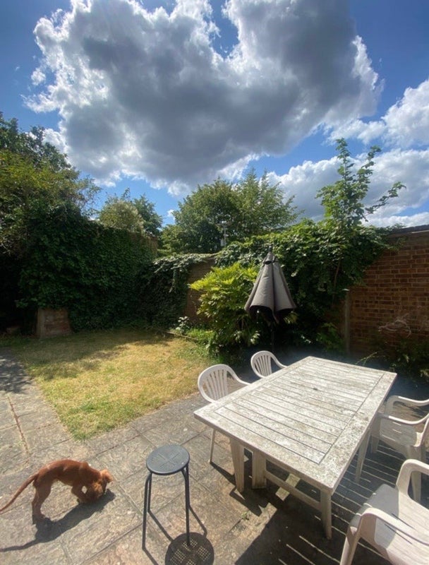 Room Broomgrove Road in Greater London