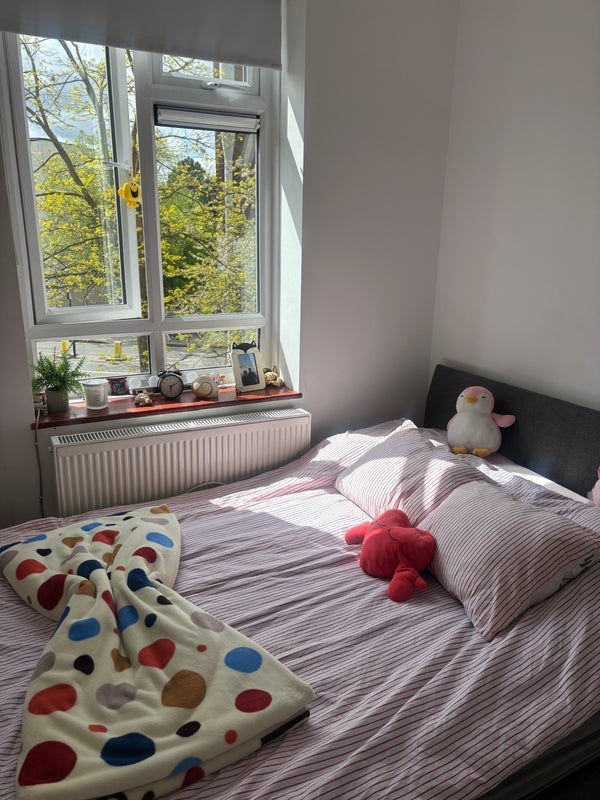 Room North End Road in Greater London
