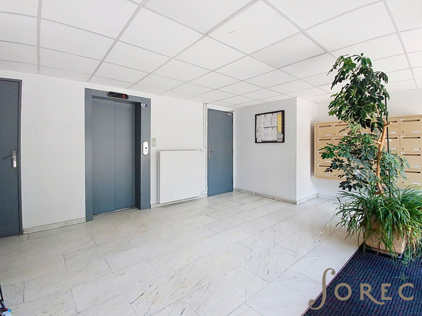 Appartement Rue Anne Eugénie Milleret à Metz