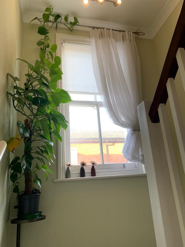 Room Shroton Street in City of Westminster