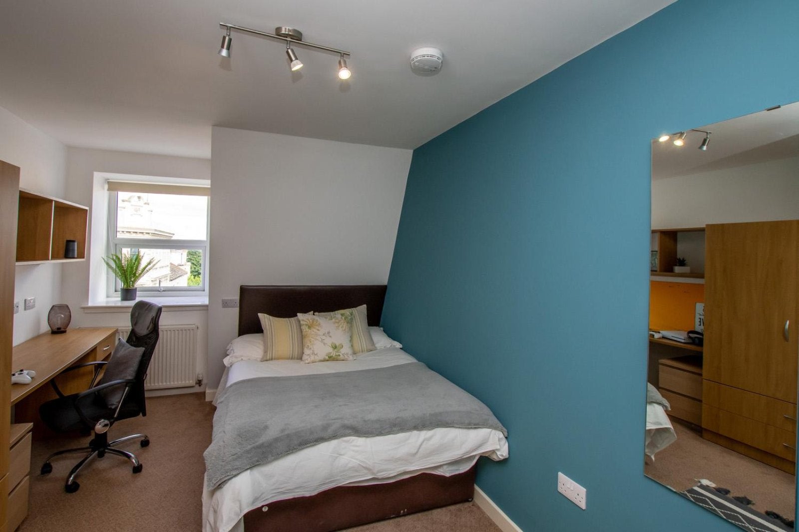 Room Finsbury Lane in Plymouth