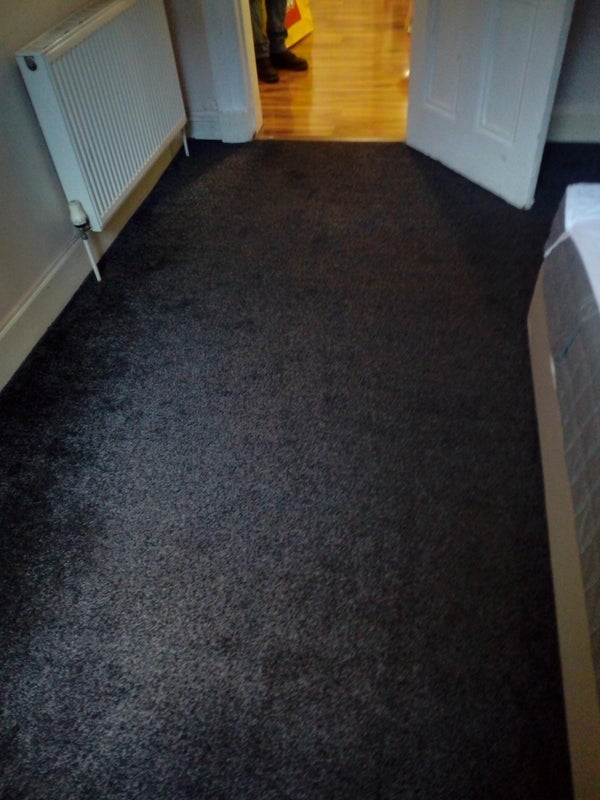 Room Richmond Terrace in City of Edinburgh