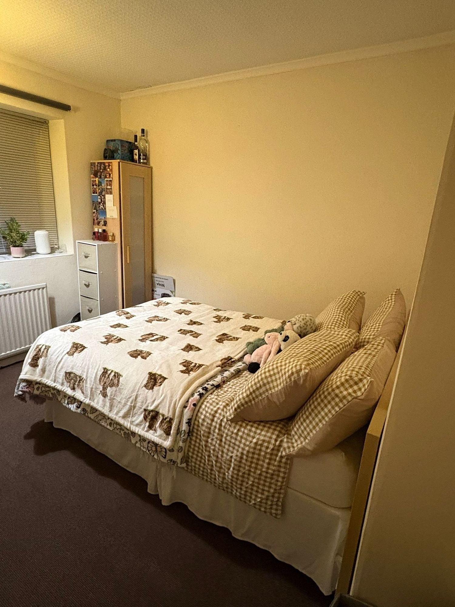 Room Shelley Avenue in Nottingham