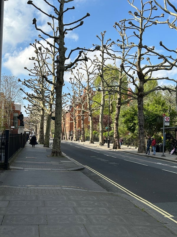 Room Arts Lane in Greater London