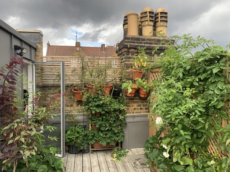 Room Adys Road in Greater London