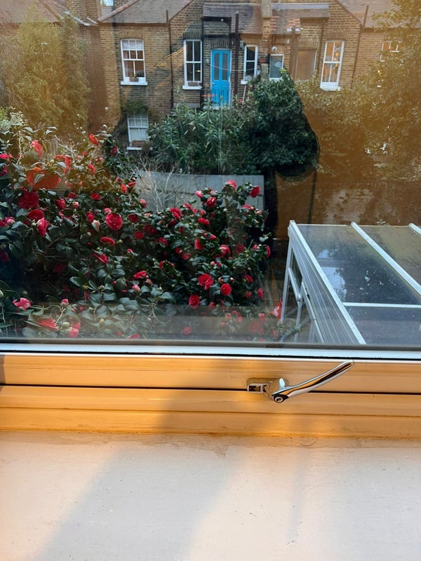 Room Aveline Street in Greater London