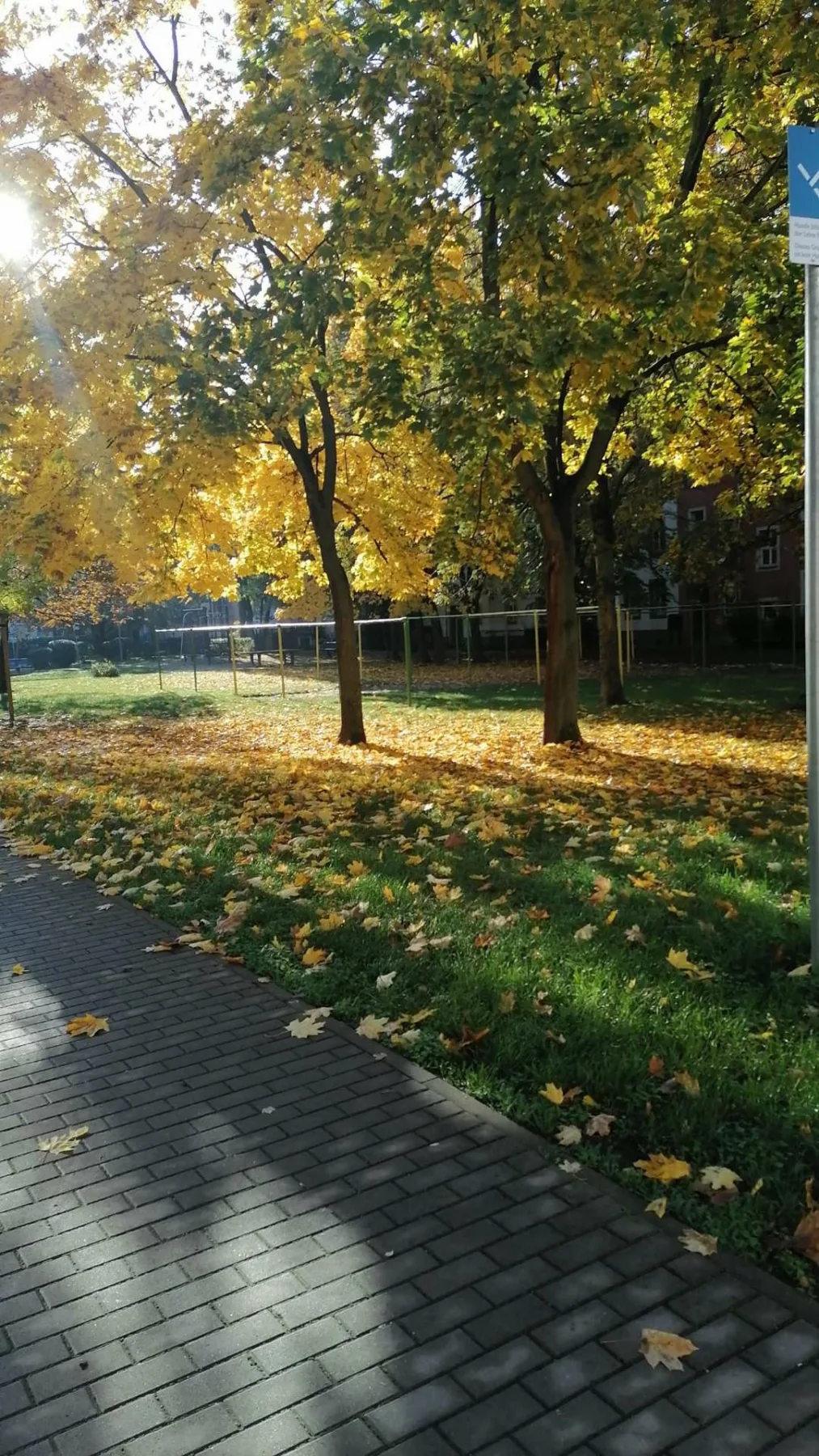Wohnung Schäferstraße in Dresden
