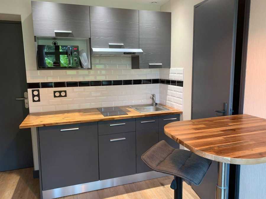 Flat Rue Alexis Perroncel in Villeurbanne