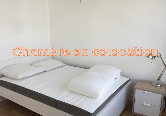 Chambre Rue Challemel-Lacour à Lyon