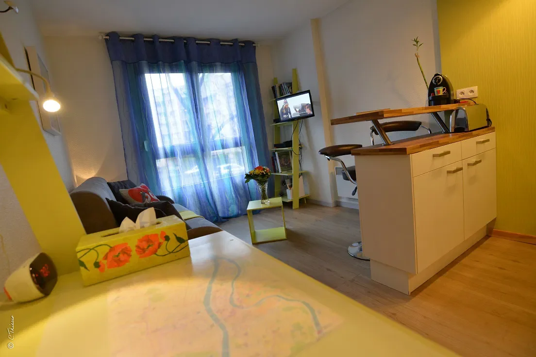 Appartement Impasse Pomone à Lyon