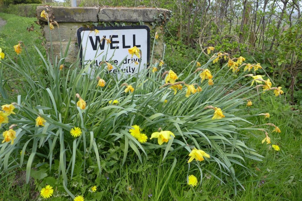 House Well Bank in Well
