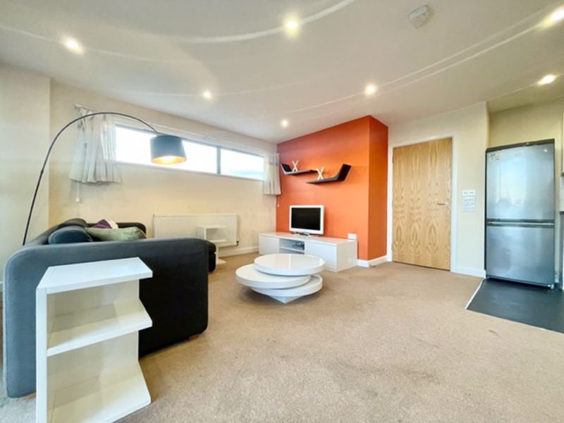 Flat Dragonfly Close in Greater London