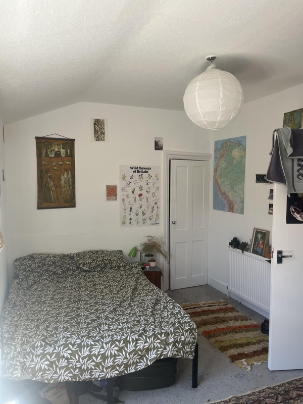 Room Jerningham Road in Greater London