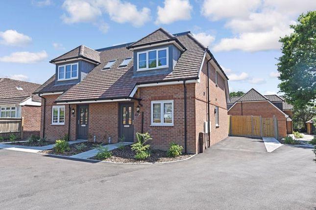 House The Vale in Bordean