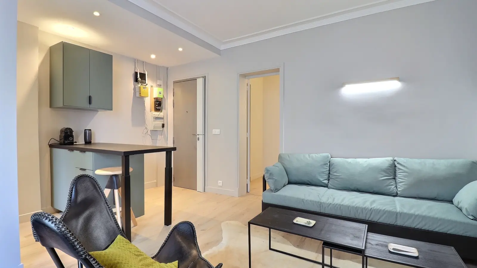 Flat Rue Brézin in Paris
