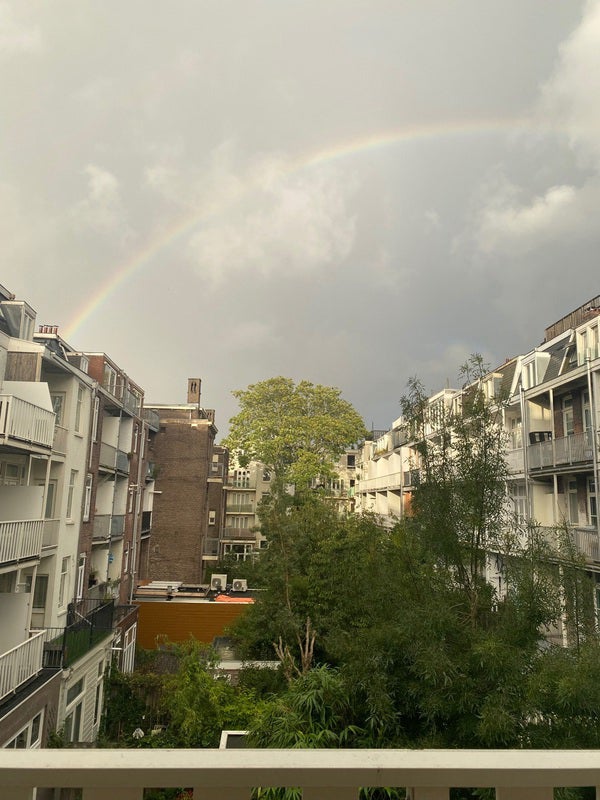 Appartement Rhijnvis Feithstraat 4