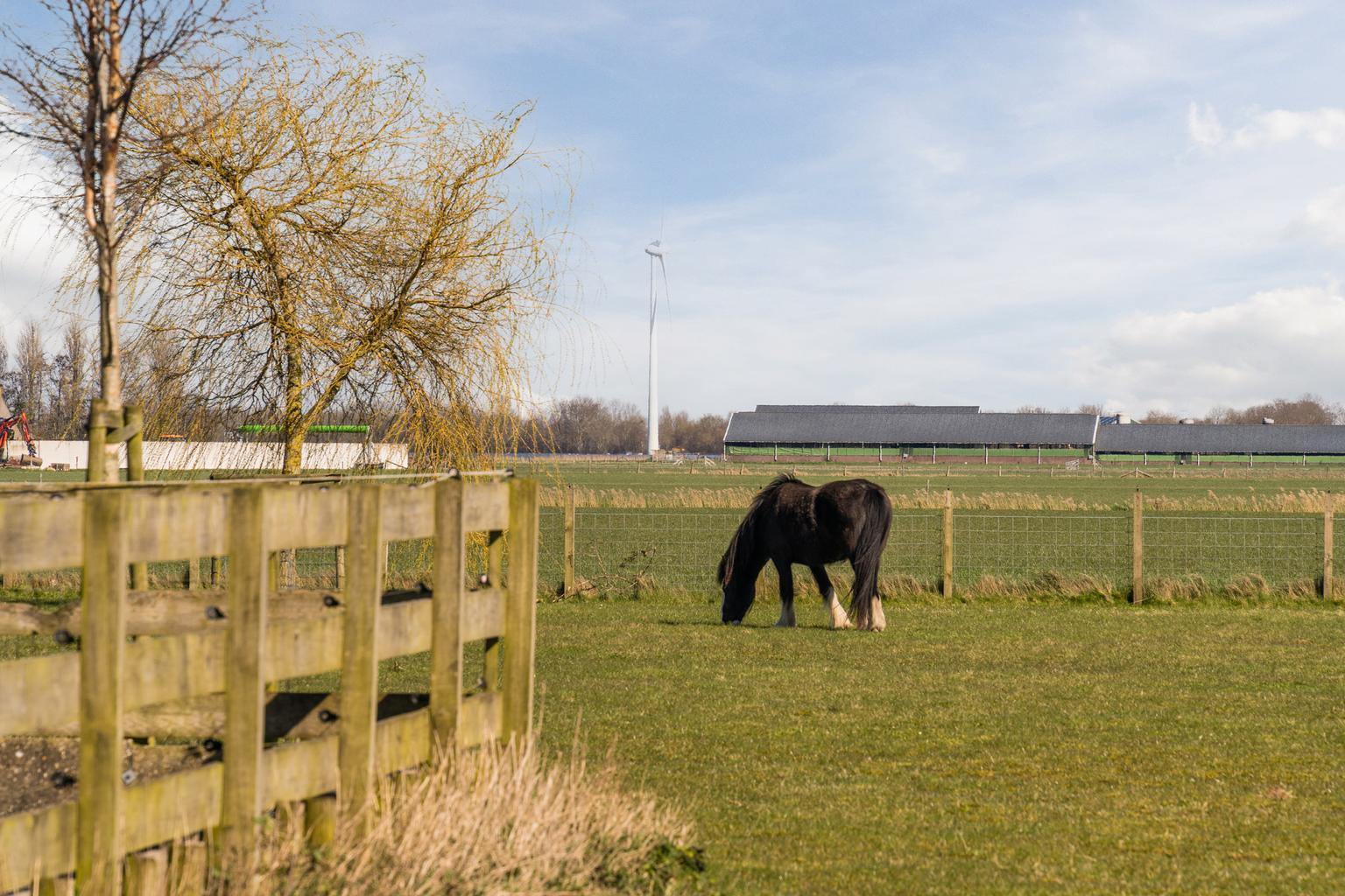 Vrijstaande woning te koop: Diepsmeerweg 58, Warmenhuizen
