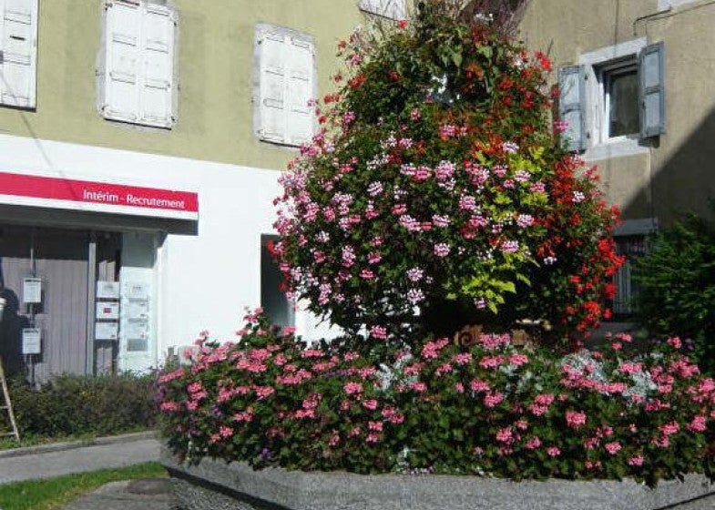 Flat Rue Pasteur in Cluses
