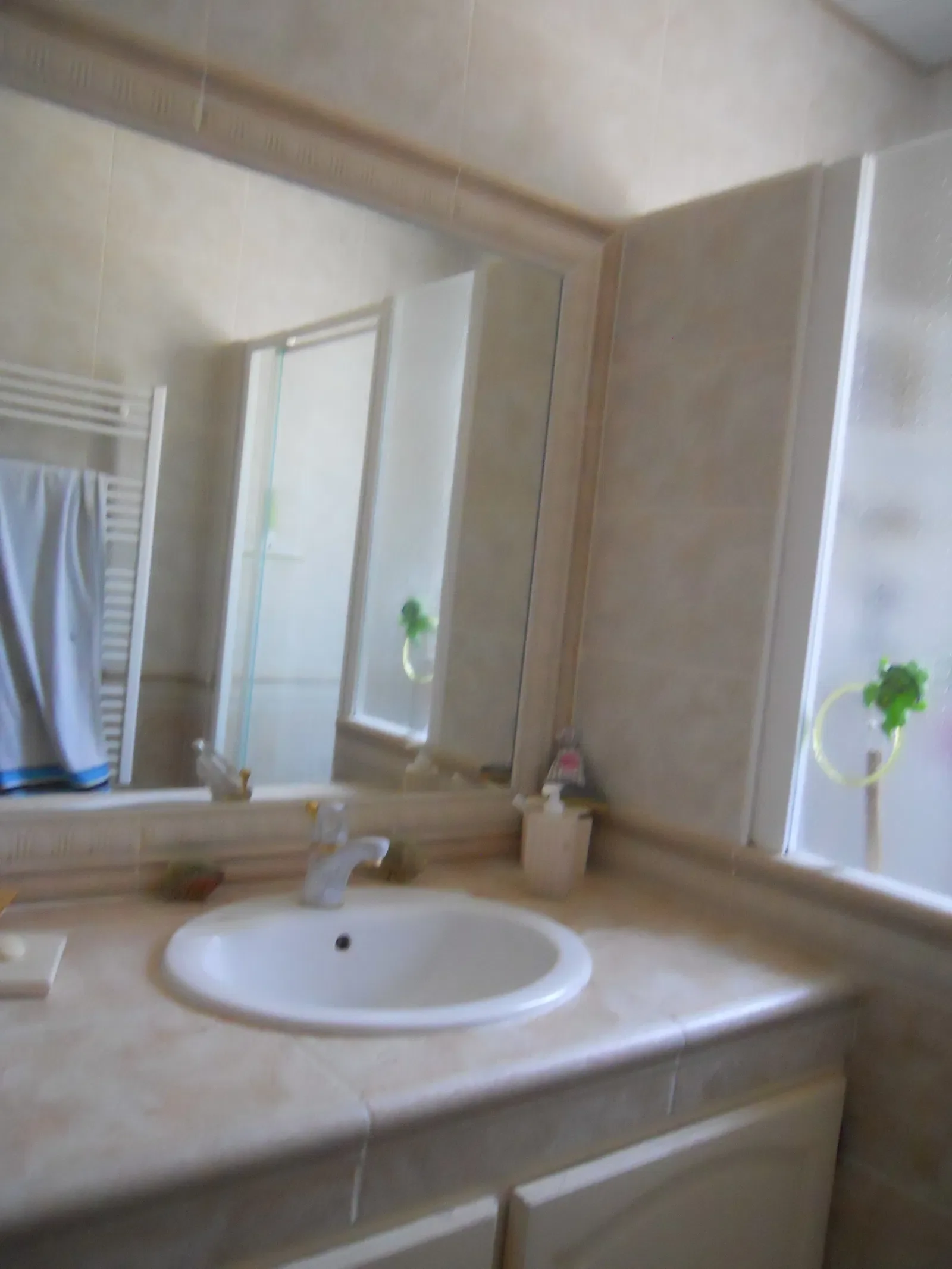 Room Chemin Nectoux in Tassin-la-Demi-Lune